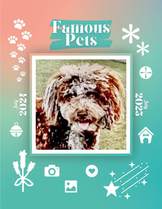 Famous Pets: July 2024-July 2025 Wall Calendar (Pre-Order)