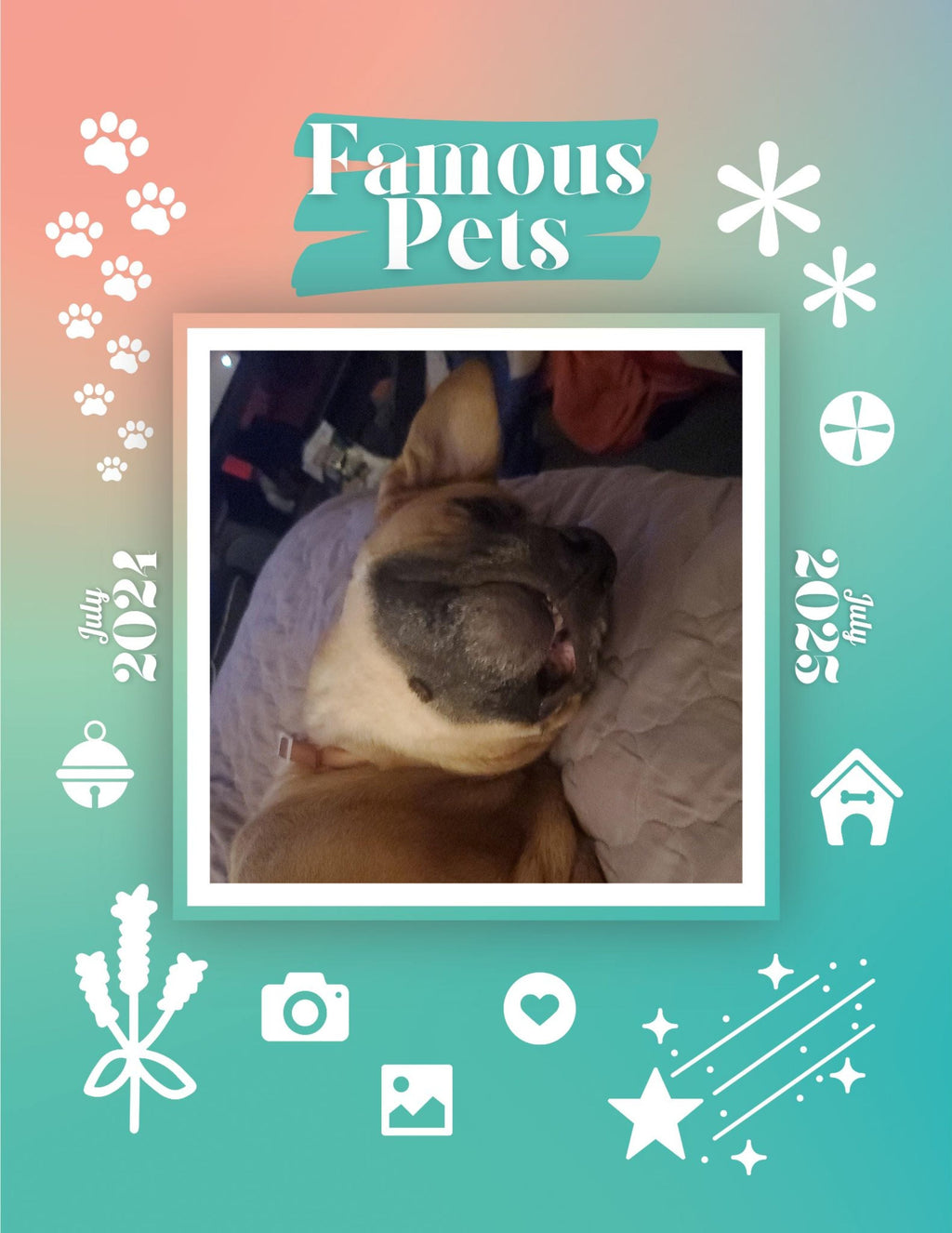 Famous Pets: July 2024-July 2025 Wall Calendar (Pre-Order)