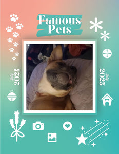 Famous Pets: July 2024-July 2025 Wall Calendar (Pre-Order)