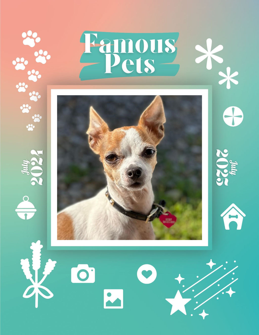 Famous Pets: July 2024-July 2025 Wall Calendar (Pre-Order)