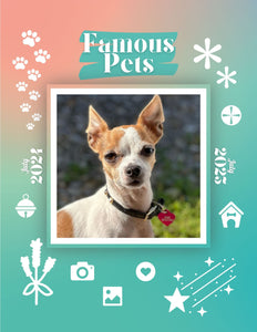 Famous Pets: July 2024-July 2025 Wall Calendar (Pre-Order)