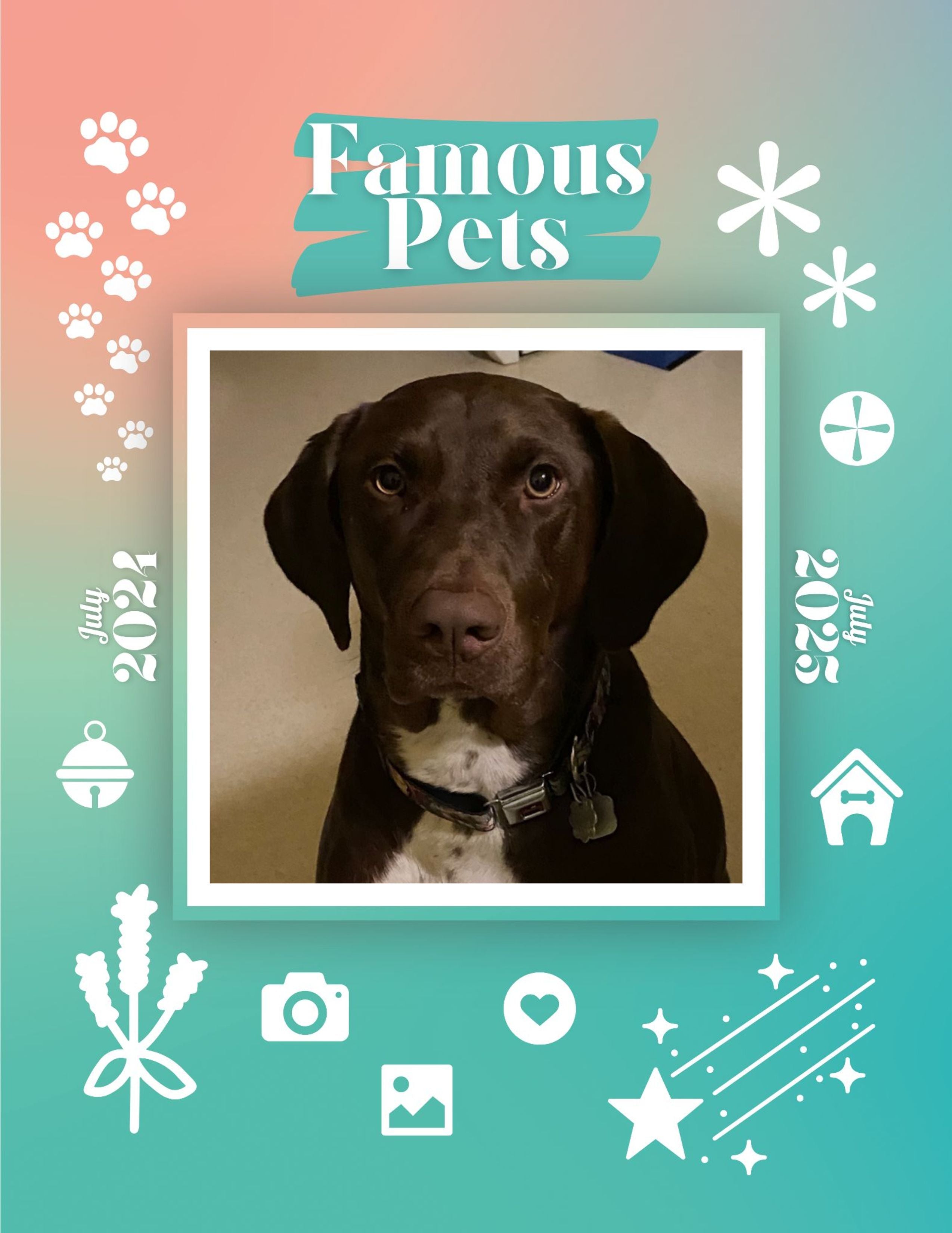 Famous Pets: July 2024-July 2025 Wall Calendar (Pre-Order)