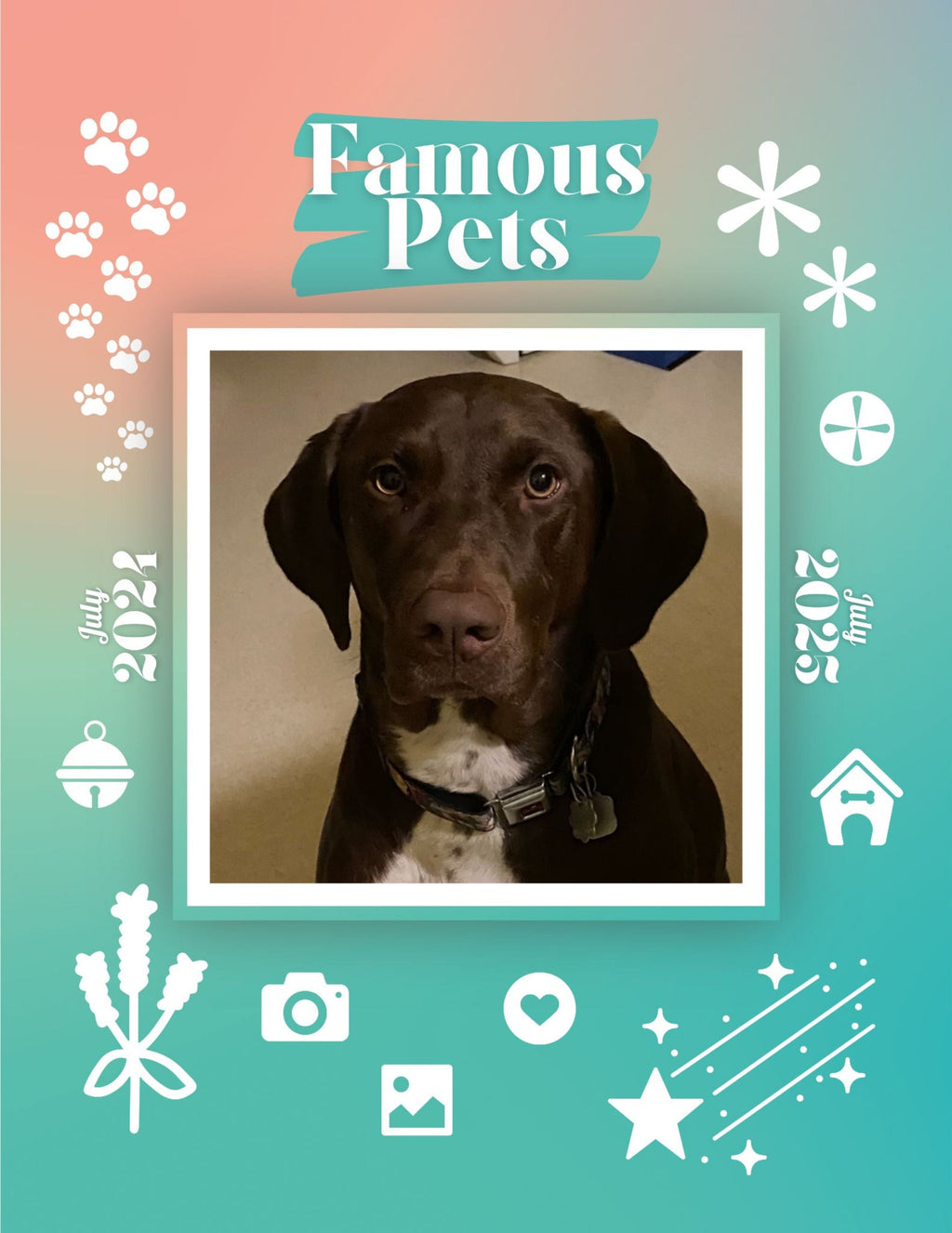 Famous Pets: July 2024-July 2025 Wall Calendar (Pre-Order)