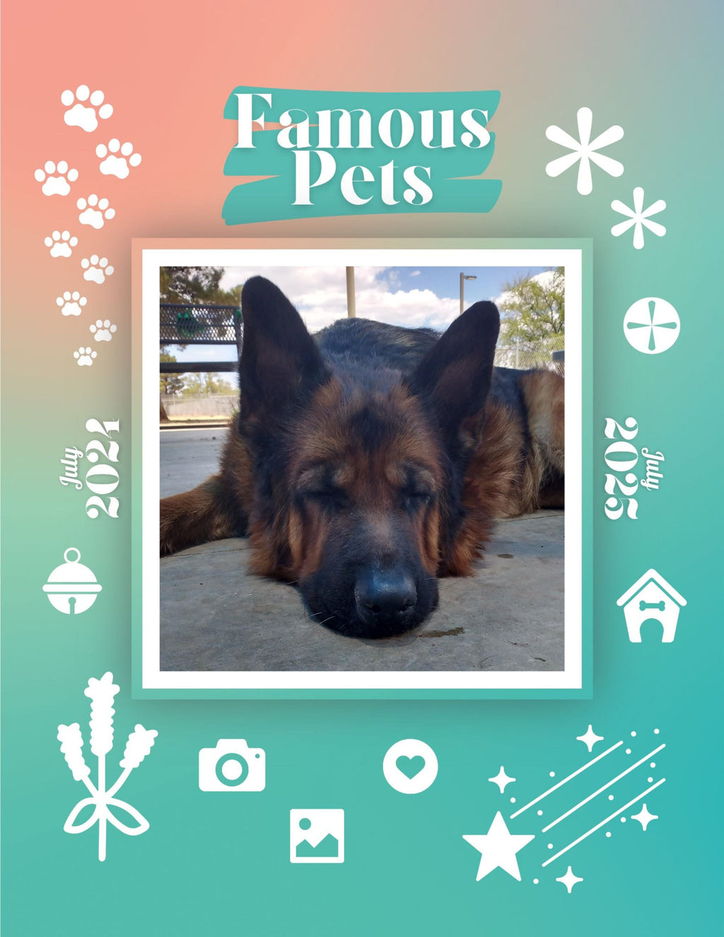 Famous Pets: July 2024-July 2025 Wall Calendar (Pre-Order)