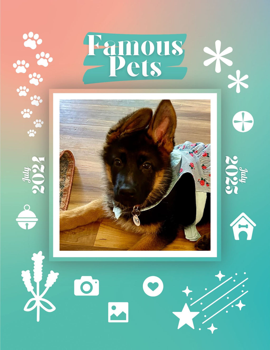 Famous Pets: July 2024-July 2025 Wall Calendar (Pre-Order)