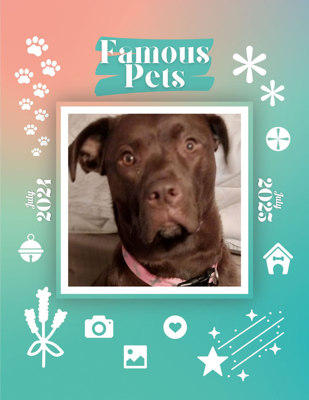 Famous Pets: July 2024-July 2025 Wall Calendar (Pre-Order)