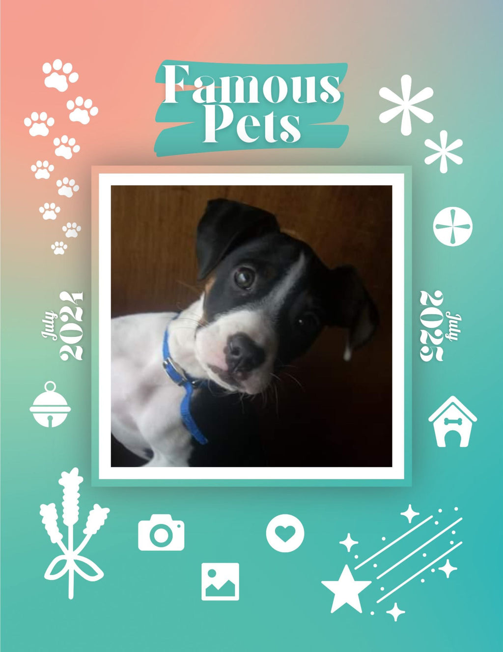 Famous Pets: July 2024-July 2025 Wall Calendar (Pre-Order)