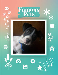 Famous Pets: July 2024-July 2025 Wall Calendar (Pre-Order)