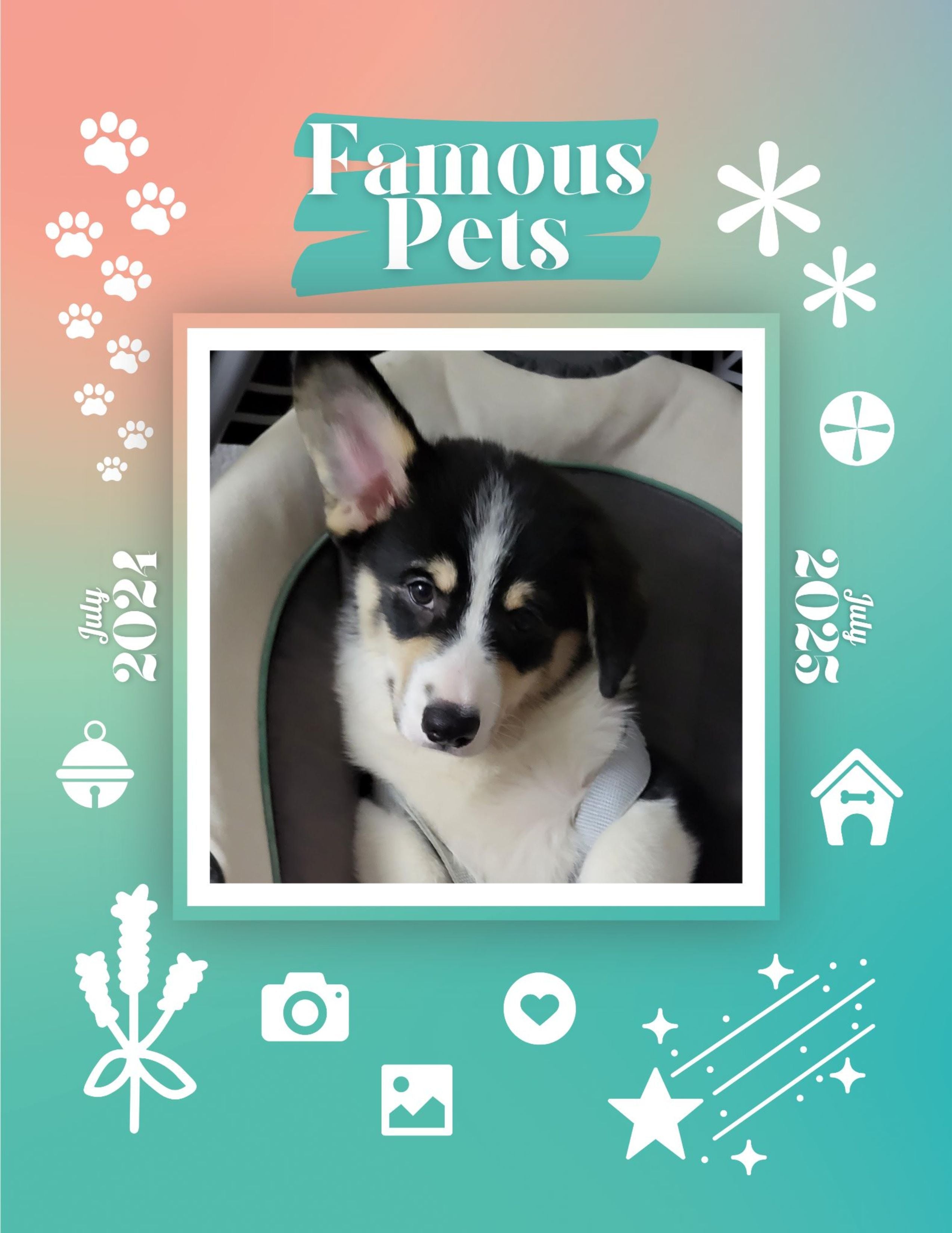 Famous Pets: July 2024-July 2025 Wall Calendar (Pre-Order)