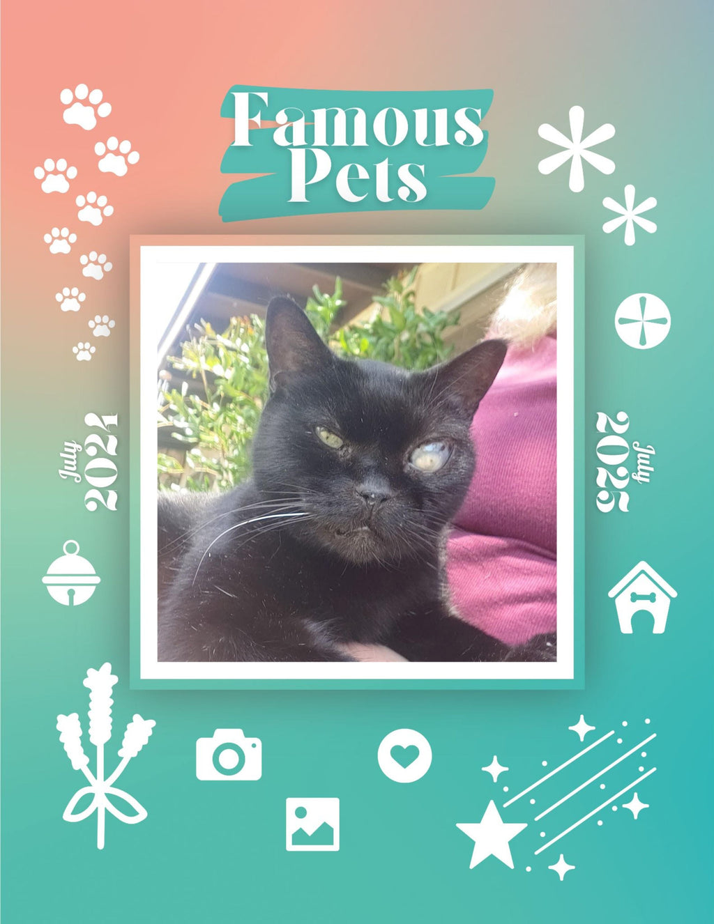 Famous Pets: July 2024-July 2025 Wall Calendar (Pre-Order)