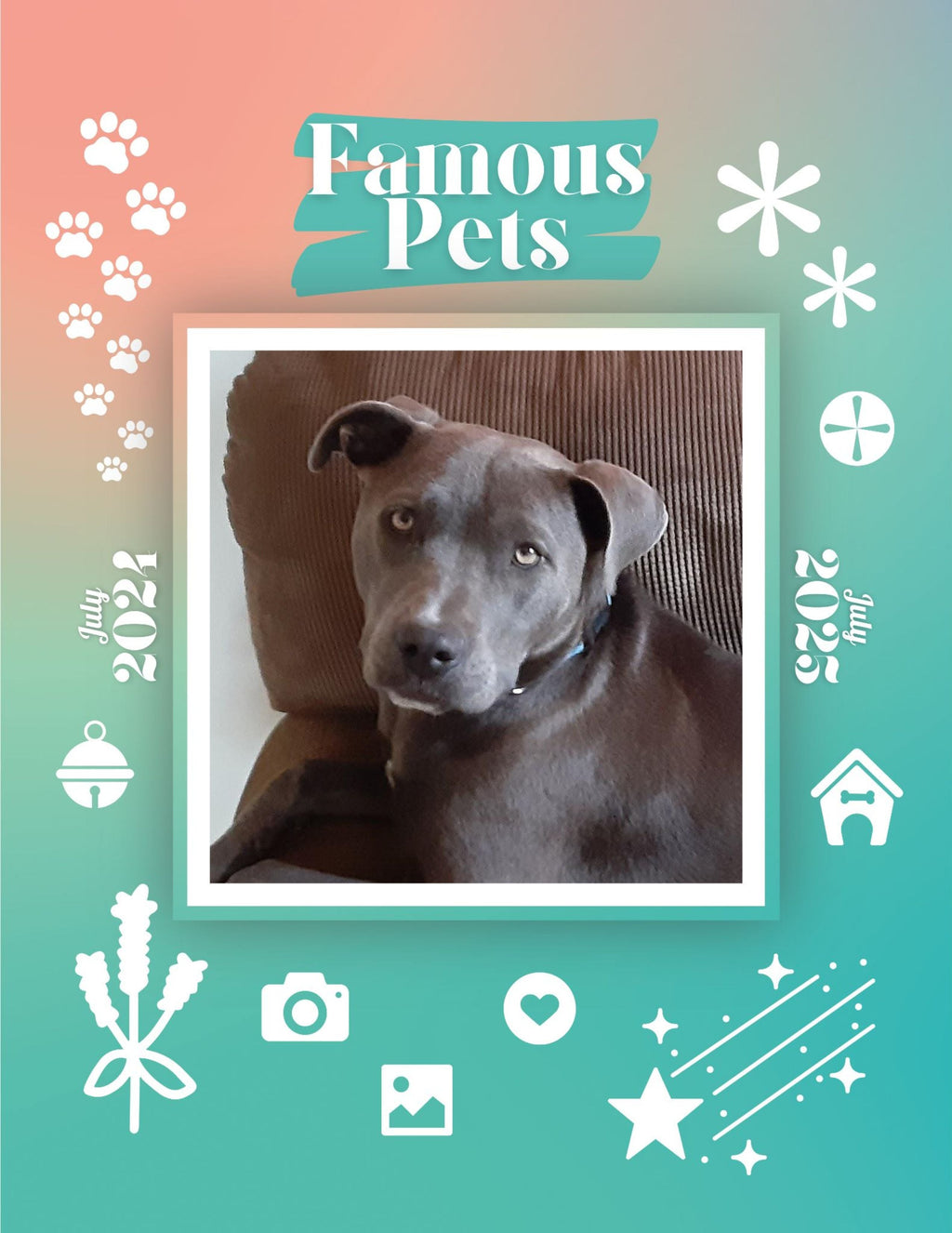 Famous Pets: July 2024-July 2025 Wall Calendar (Pre-Order)