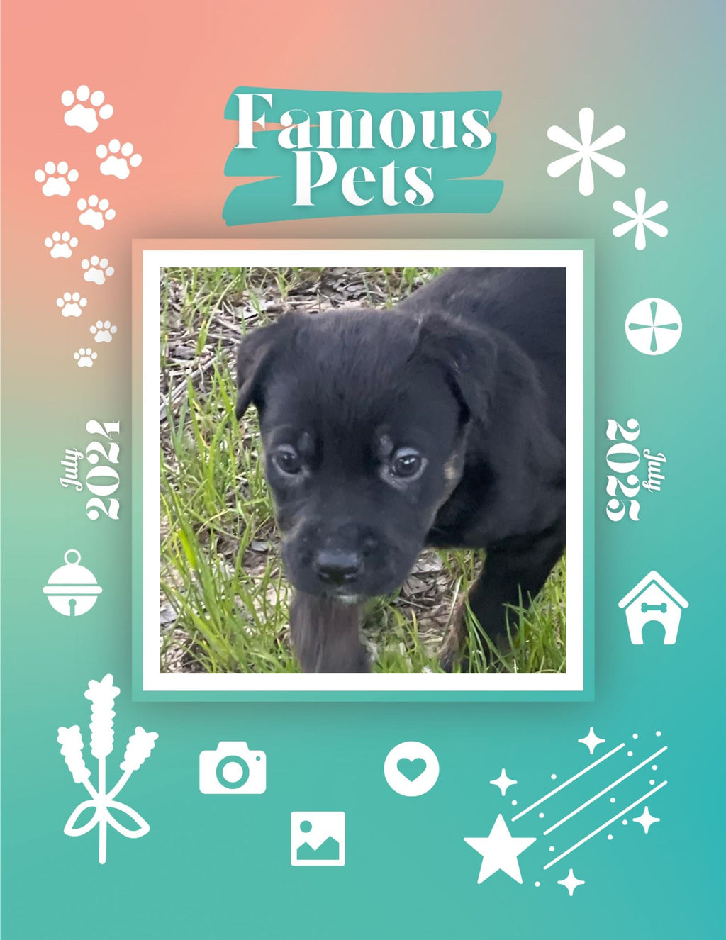 Famous Pets: July 2024-July 2025 Wall Calendar (Pre-Order)