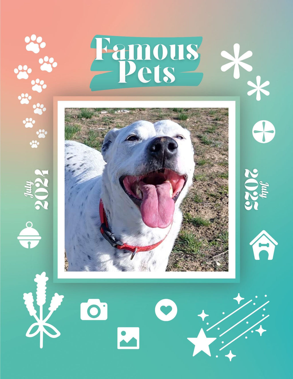 Famous Pets: July 2024-July 2025 Wall Calendar (Pre-Order)