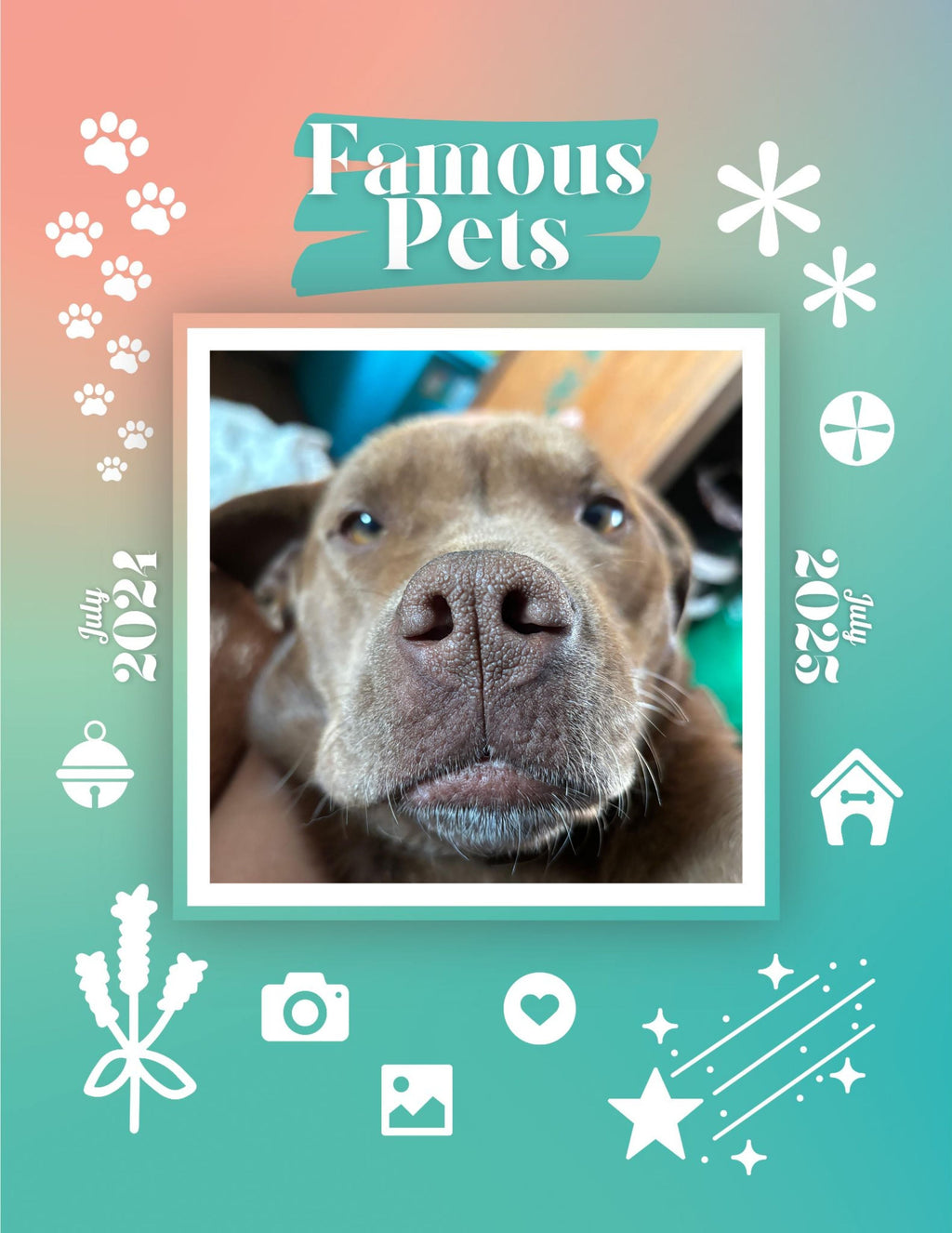 Famous Pets: July 2024-July 2025 Wall Calendar (Pre-Order)
