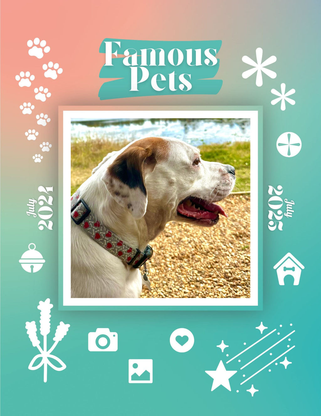 Famous Pets: July 2024-July 2025 Wall Calendar (Pre-Order)
