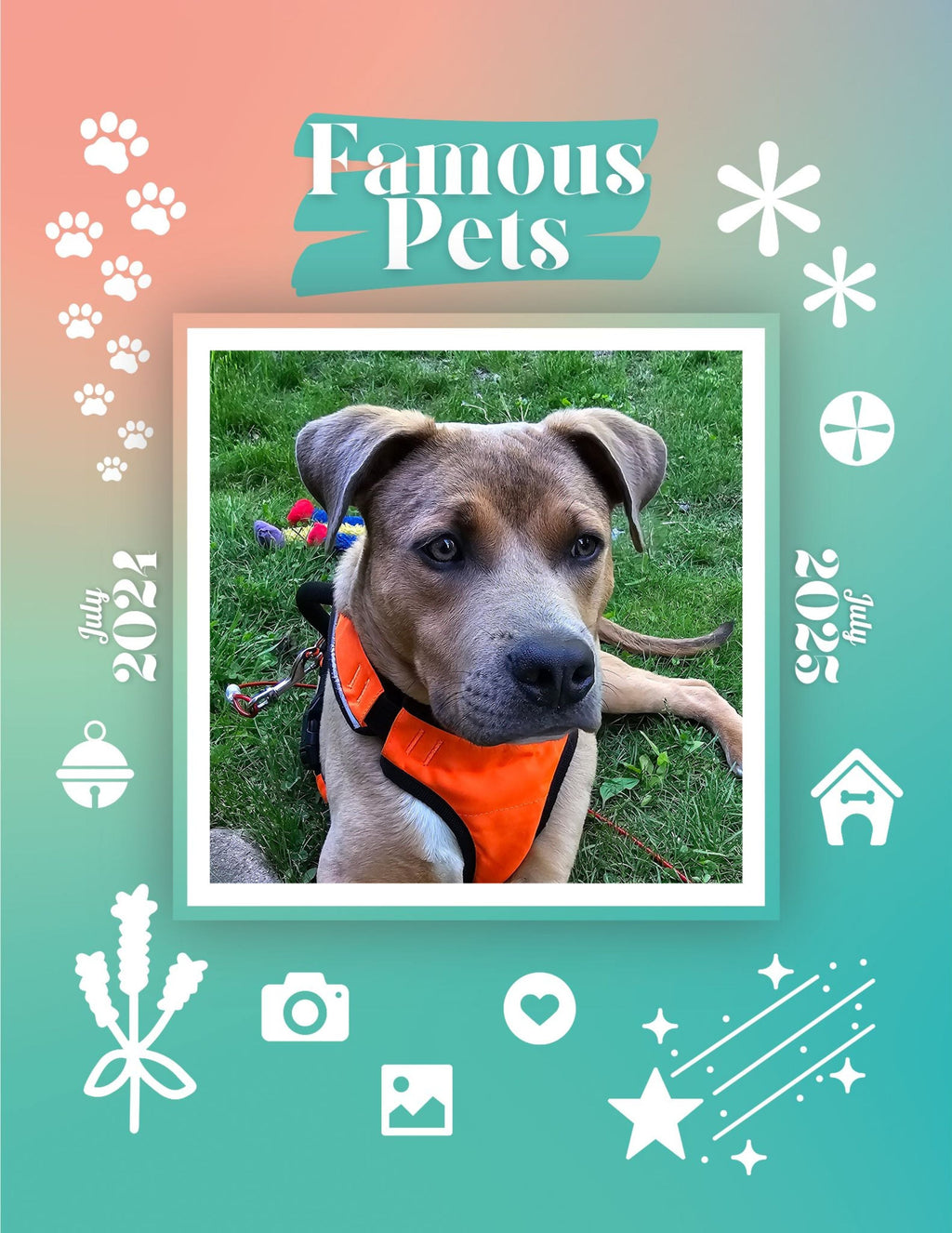 Famous Pets: July 2024-July 2025 Wall Calendar (Pre-Order)