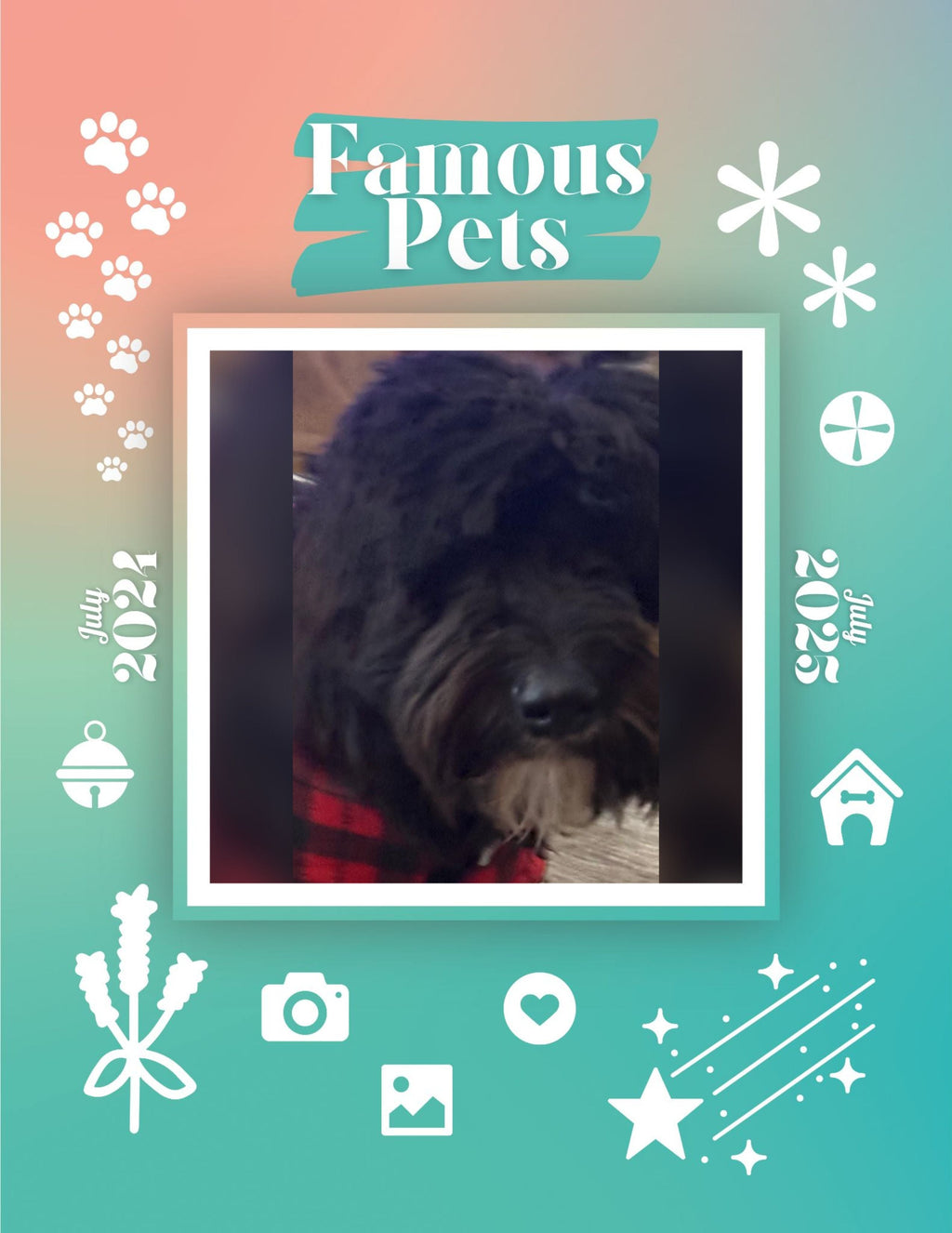 Famous Pets: July 2024-July 2025 Wall Calendar (Pre-Order)