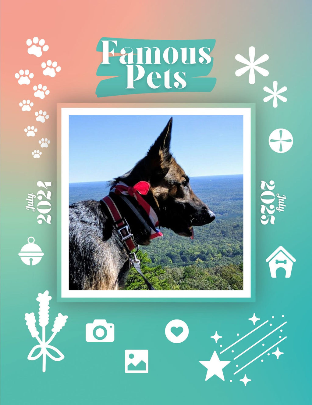 Famous Pets: July 2024-July 2025 Wall Calendar (Pre-Order)