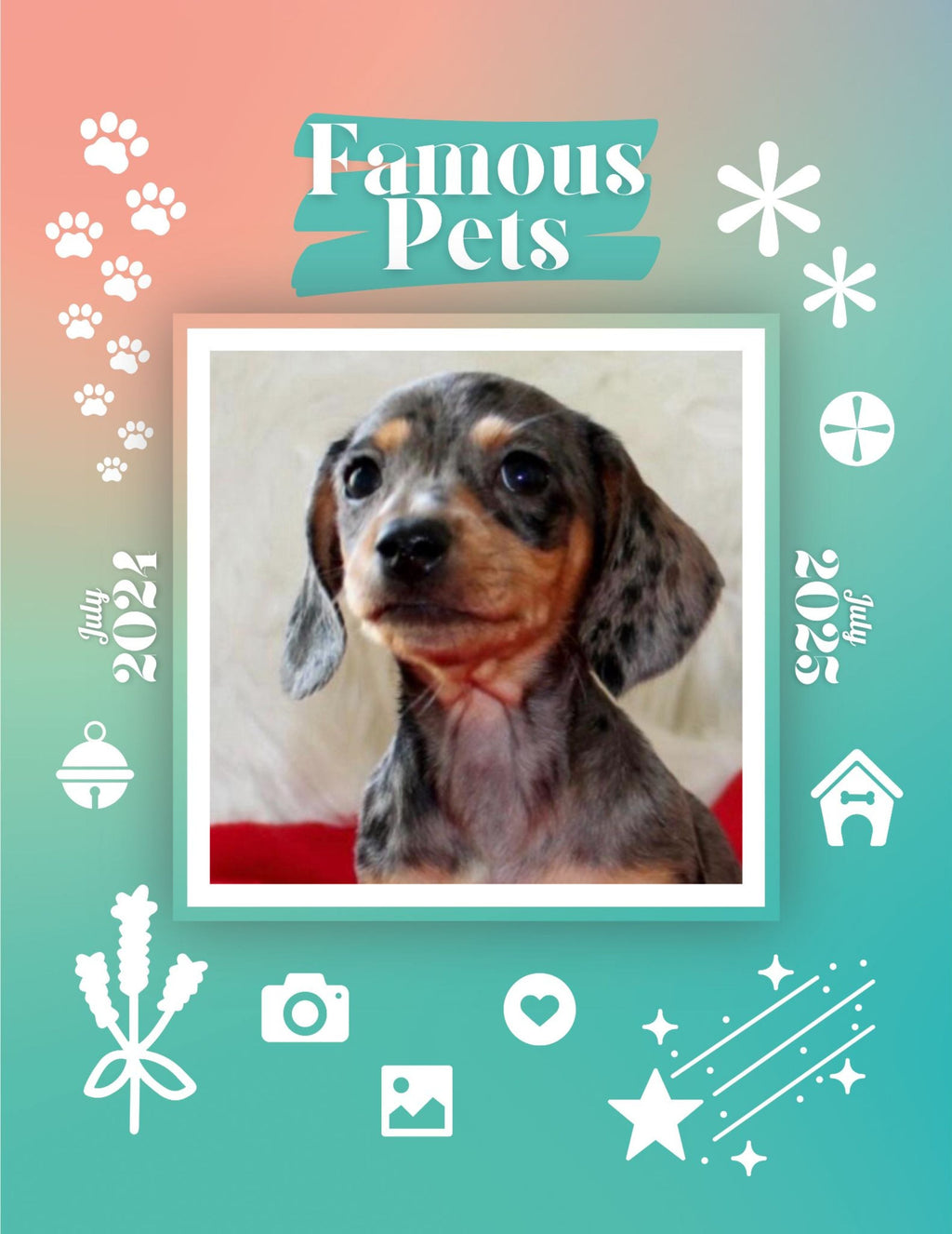 Famous Pets: July 2024-July 2025 Wall Calendar (Pre-Order)