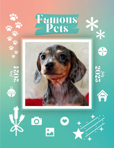 Famous Pets: July 2024-July 2025 Wall Calendar (Pre-Order)
