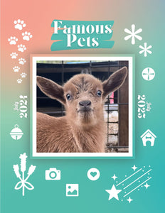 Famous Pets: July 2024-July 2025 Wall Calendar (Pre-Order)