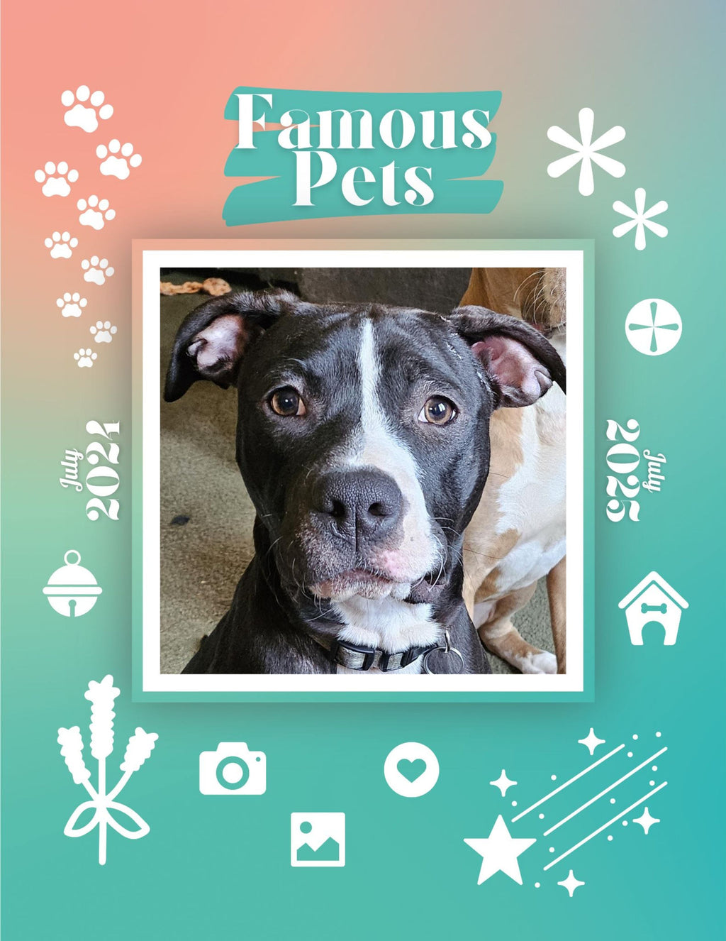 Famous Pets: July 2024-July 2025 Wall Calendar (Pre-Order)