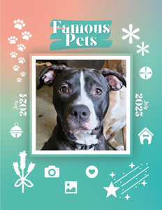 Famous Pets: July 2024-July 2025 Wall Calendar (Pre-Order)