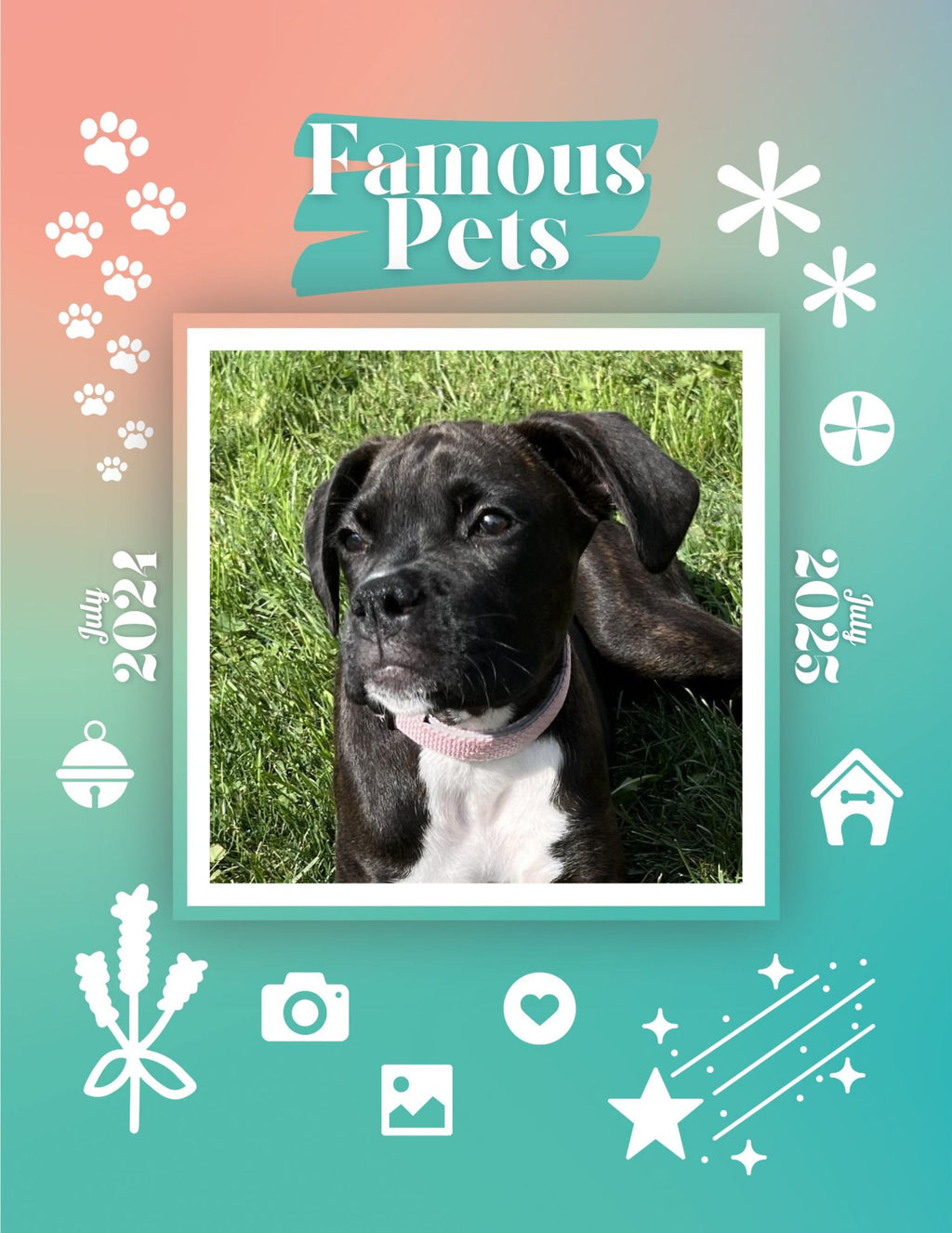 Famous Pets: July 2024-July 2025 Wall Calendar (Pre-Order)