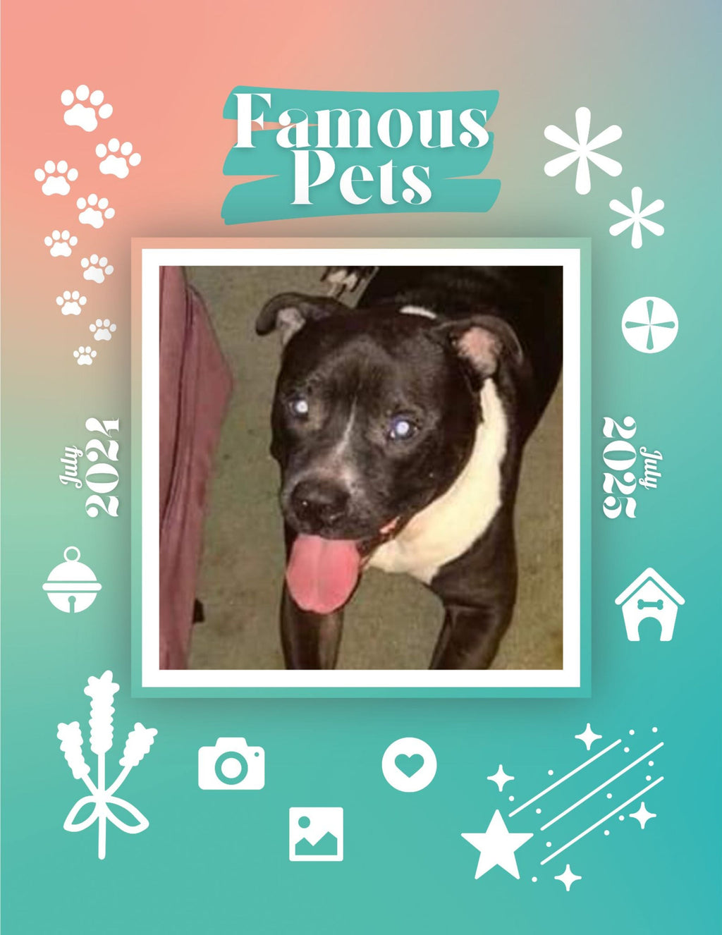 Famous Pets: July 2024-July 2025 Wall Calendar (Pre-Order)
