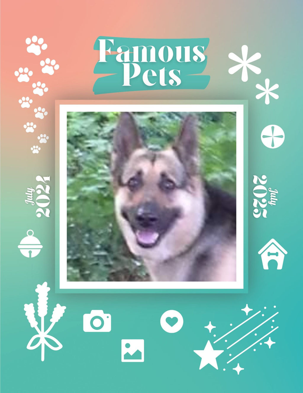 Famous Pets: July 2024-July 2025 Wall Calendar (Pre-Order)