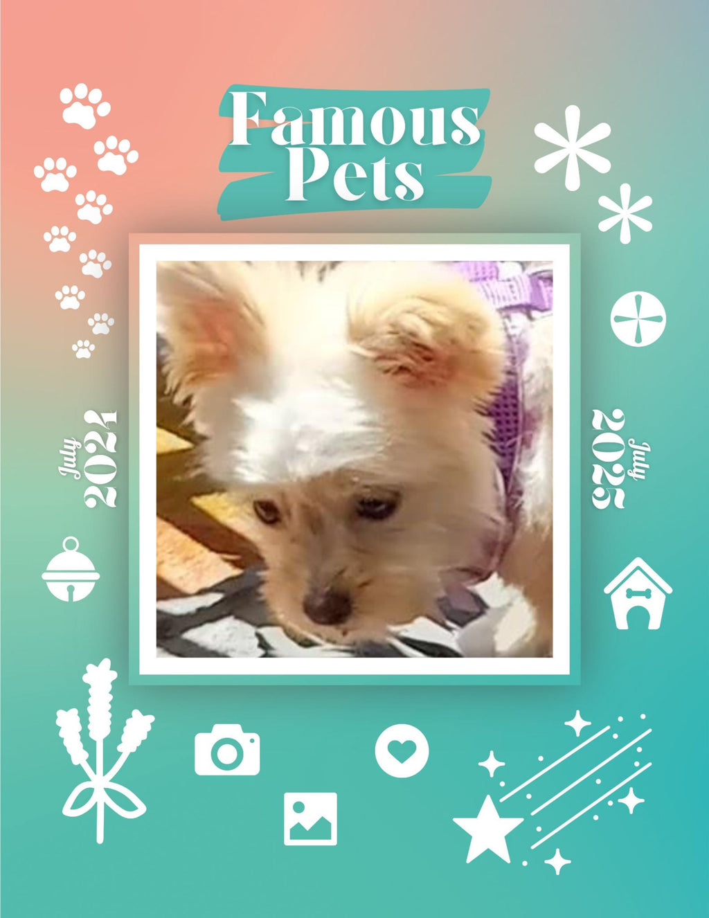 Famous Pets: July 2024-July 2025 Wall Calendar (Pre-Order)