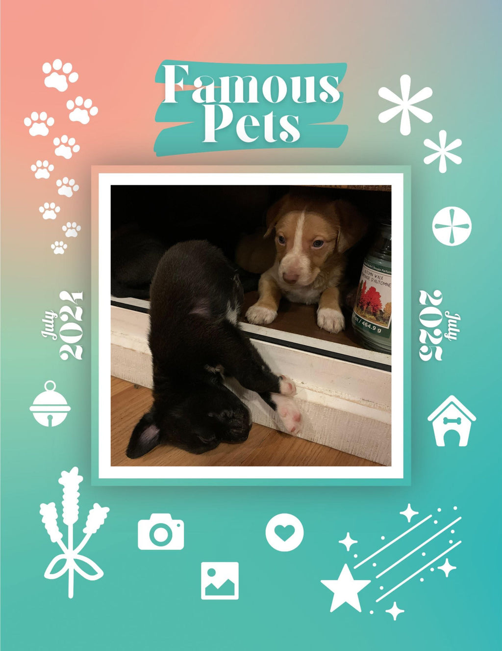 Famous Pets: July 2024-July 2025 Wall Calendar (Pre-Order)