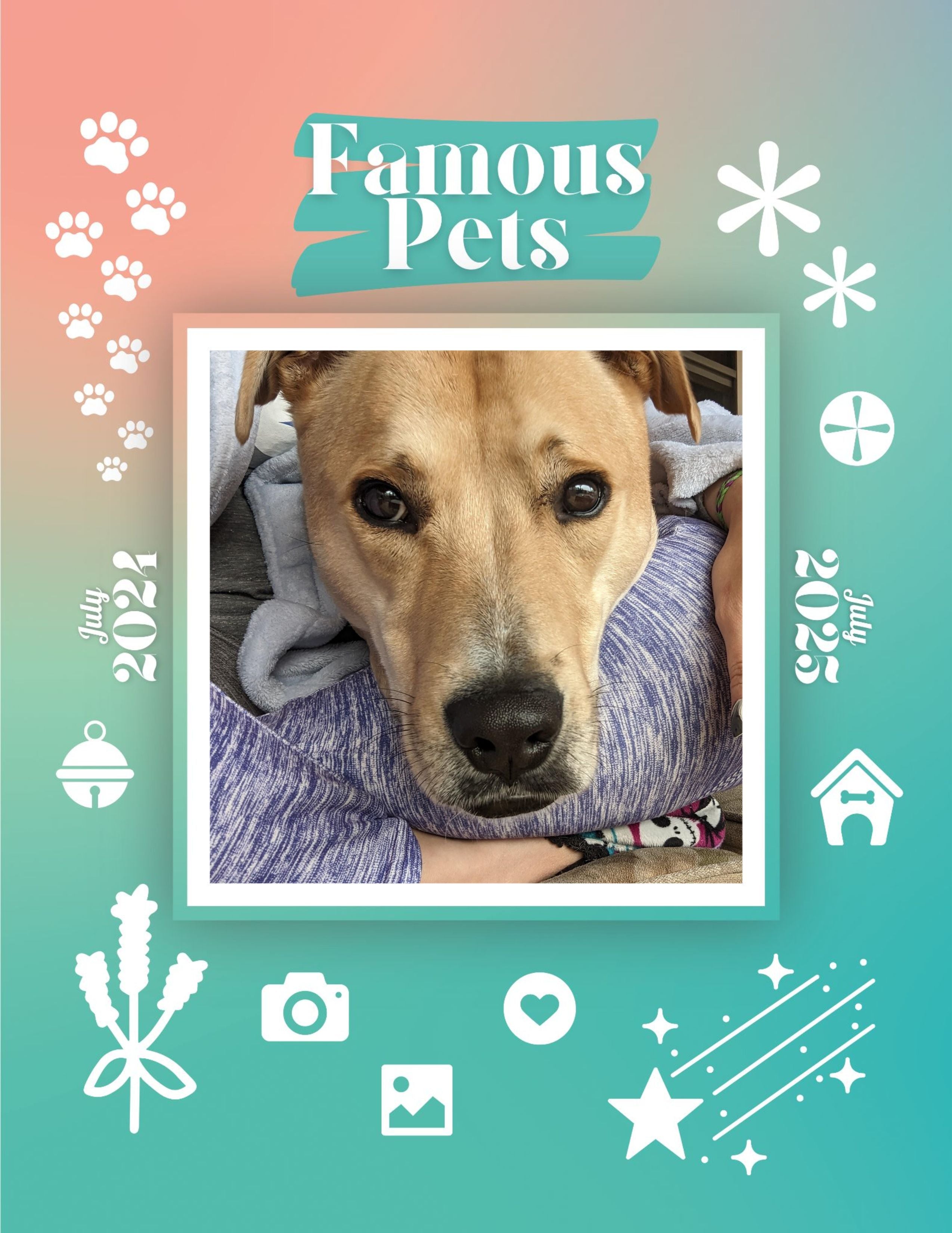 Famous Pets: July 2024-July 2025 Wall Calendar (Pre-Order)