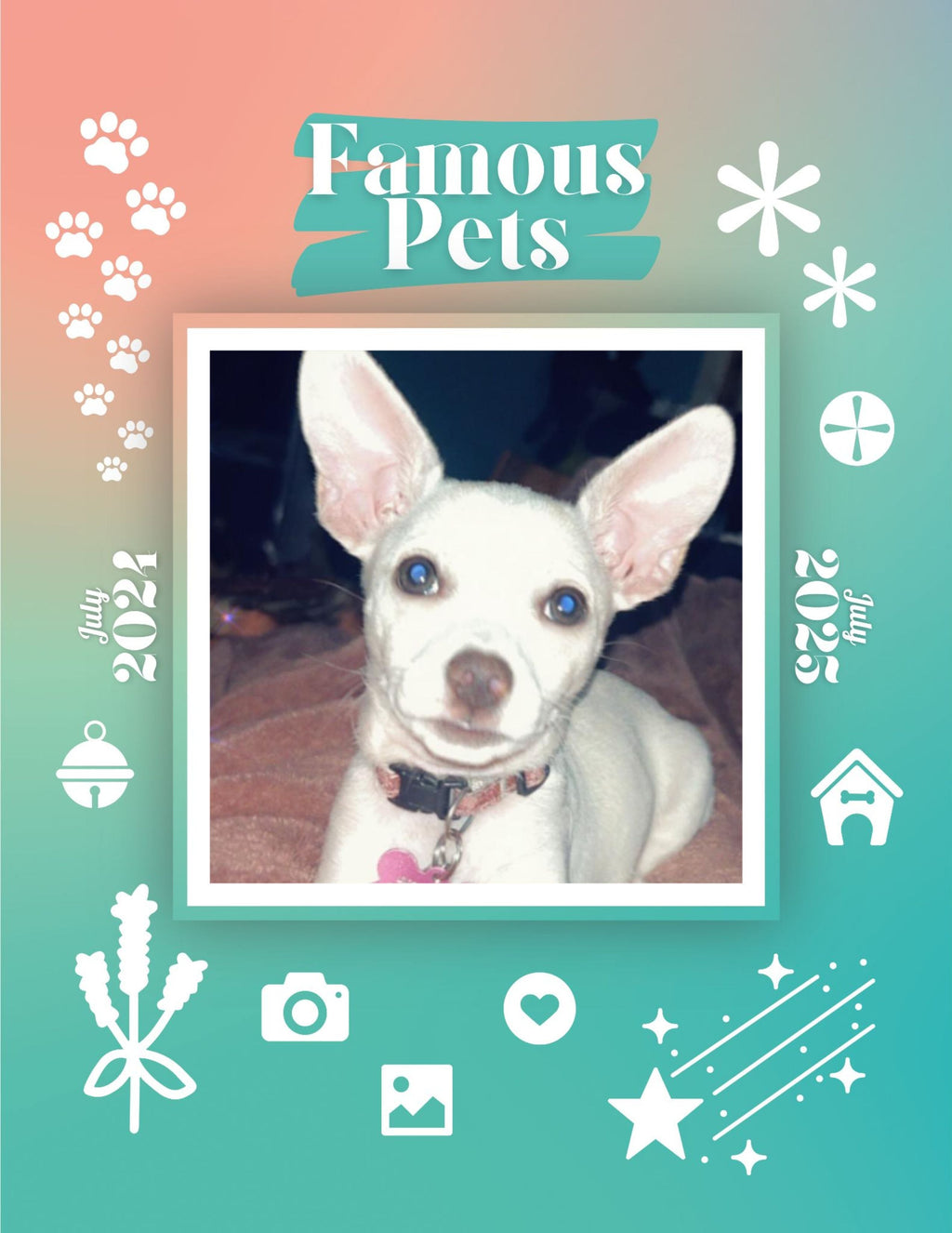 Famous Pets: July 2024-July 2025 Wall Calendar (Pre-Order)