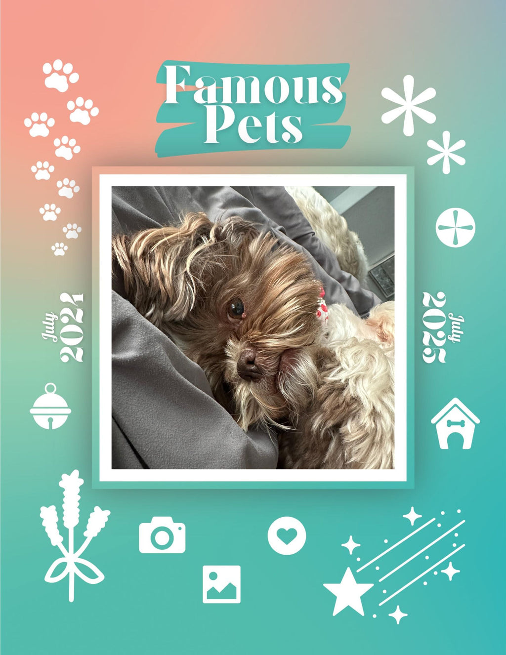 Famous Pets: July 2024-July 2025 Wall Calendar (Pre-Order)