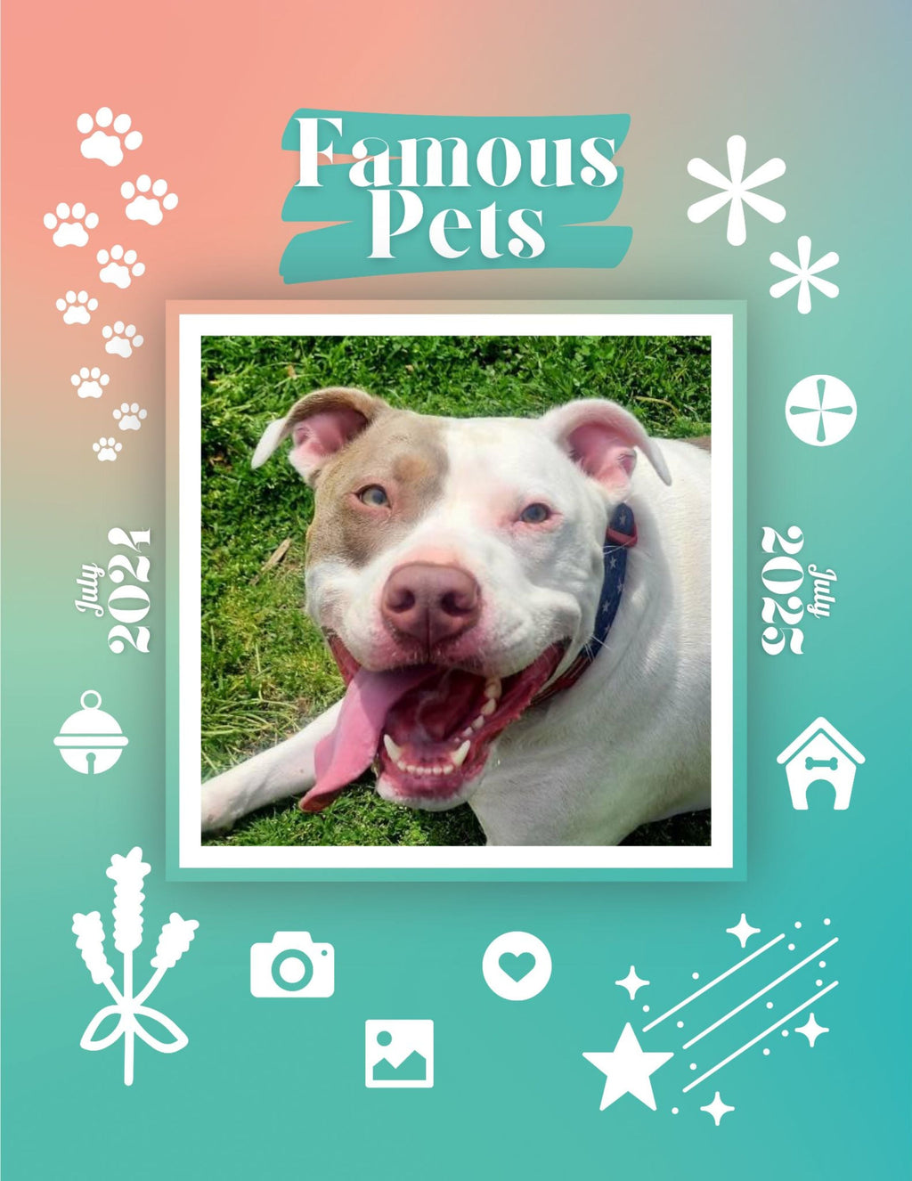 Famous Pets: July 2024-July 2025 Wall Calendar (Pre-Order)