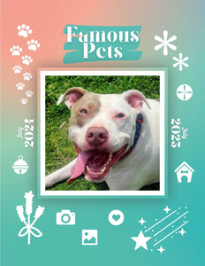 Famous Pets: July 2024-July 2025 Wall Calendar (Pre-Order)