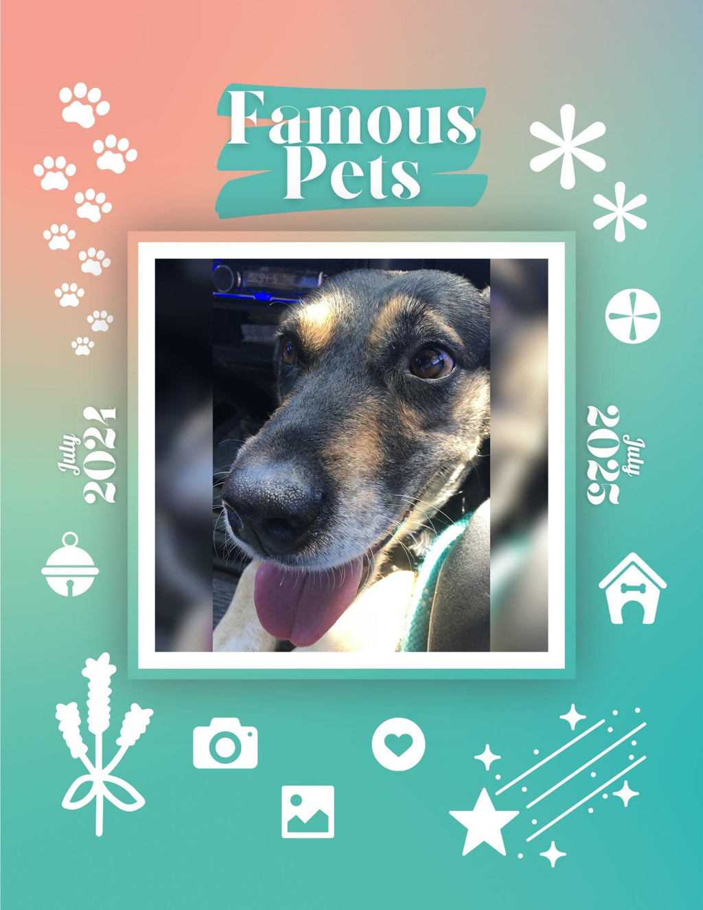 Famous Pets: July 2024-July 2025 Wall Calendar (Pre-Order)
