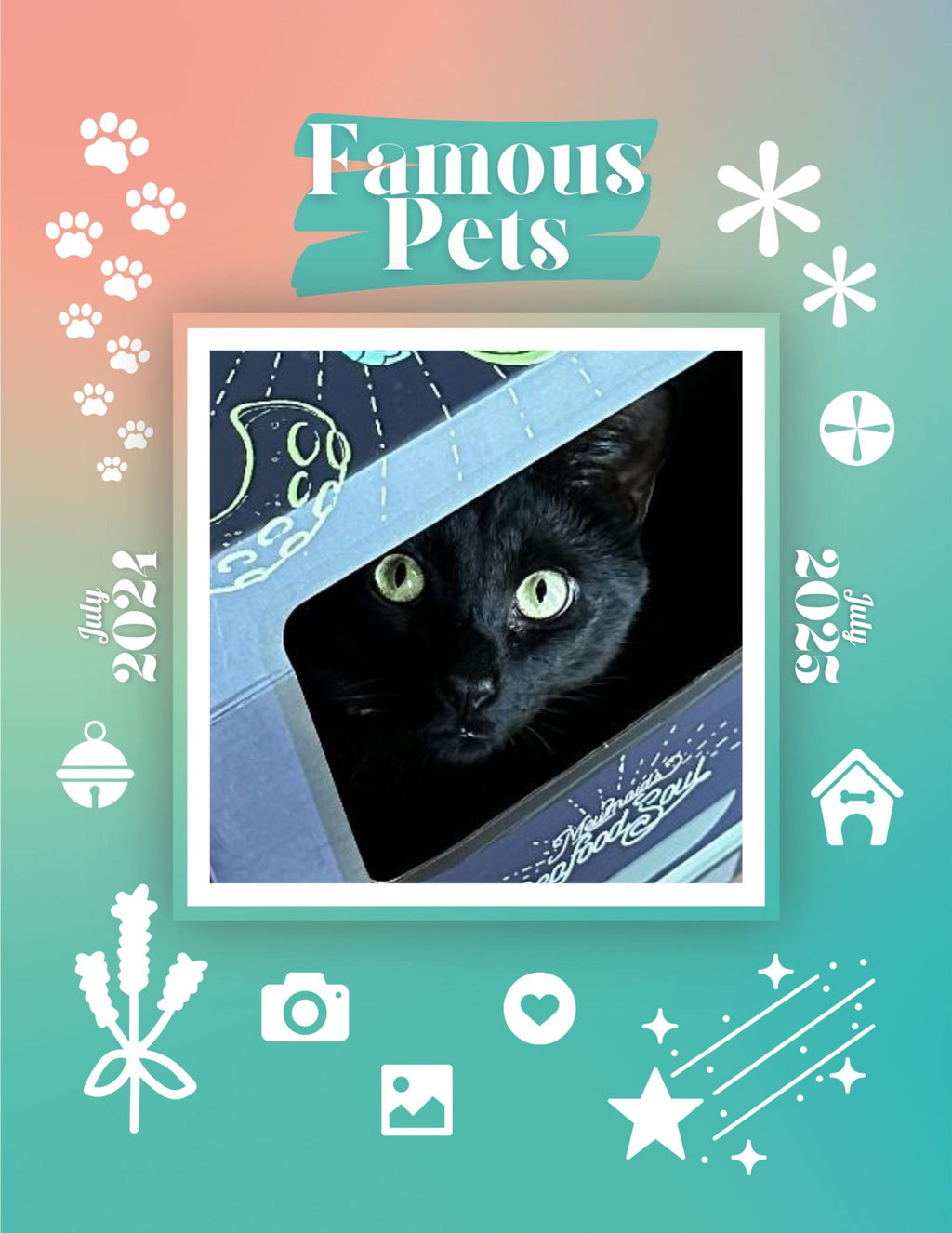 Famous Pets: July 2024-July 2025 Wall Calendar (Pre-Order)