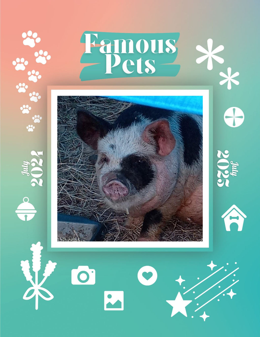Famous Pets: July 2024-July 2025 Wall Calendar (Pre-Order)