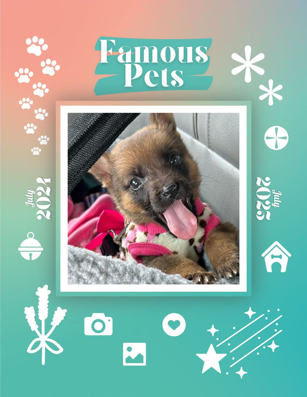 Famous Pets: July 2024-July 2025 Wall Calendar (Pre-Order)