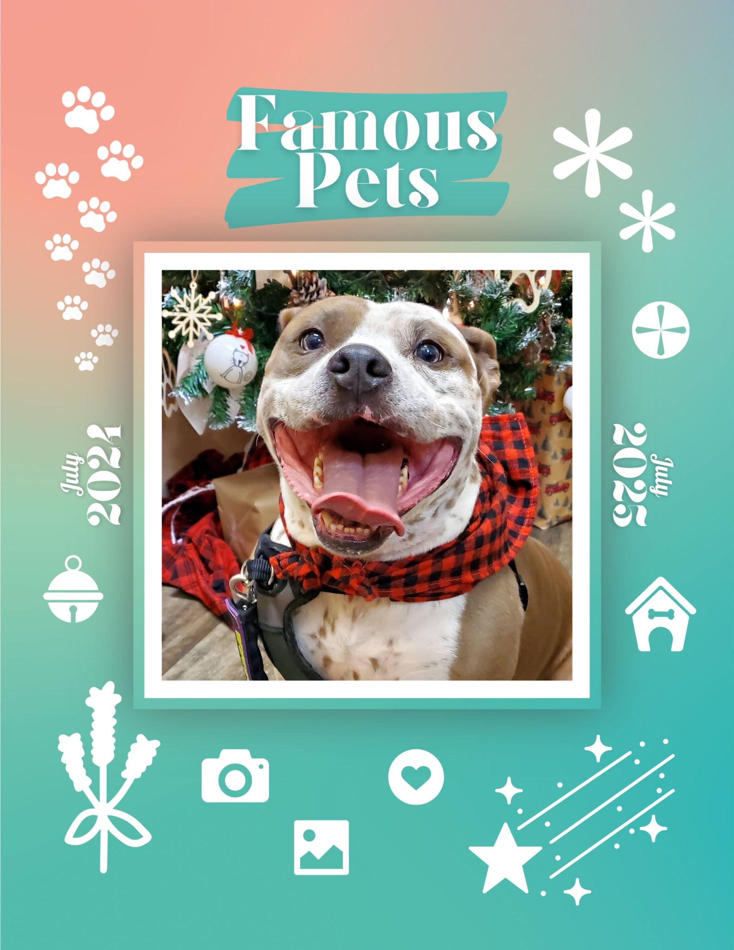 Famous Pets: July 2024-July 2025 Wall Calendar (Pre-Order)