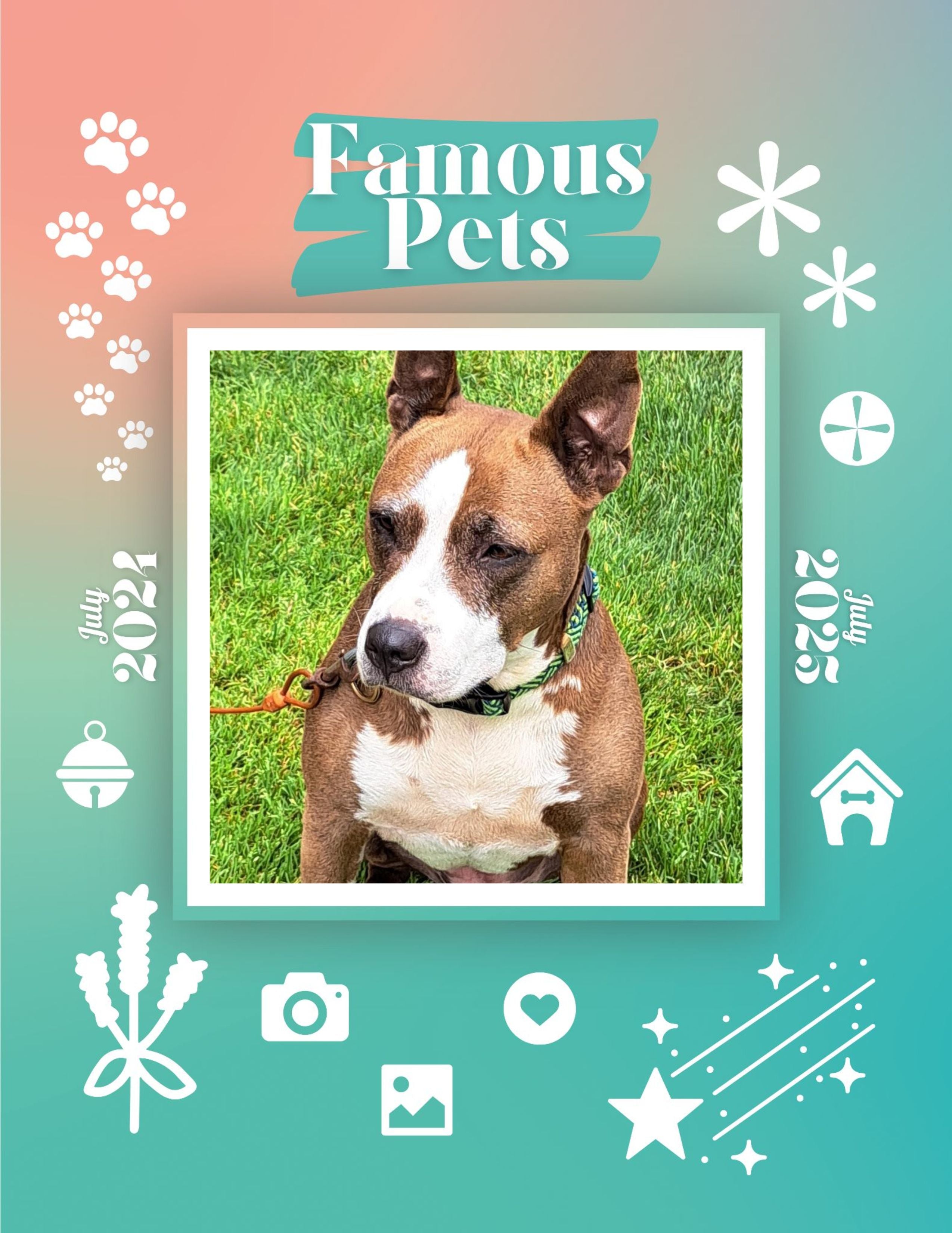 Famous Pets: July 2024-July 2025 Wall Calendar (Pre-Order)