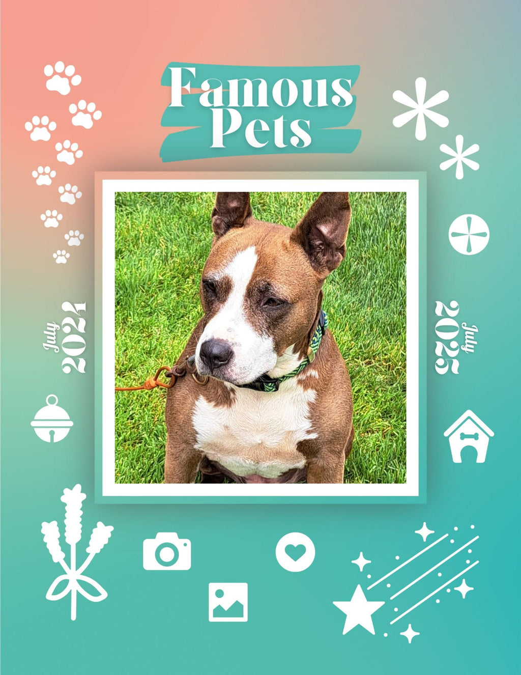 Famous Pets: July 2024-July 2025 Wall Calendar (Pre-Order)