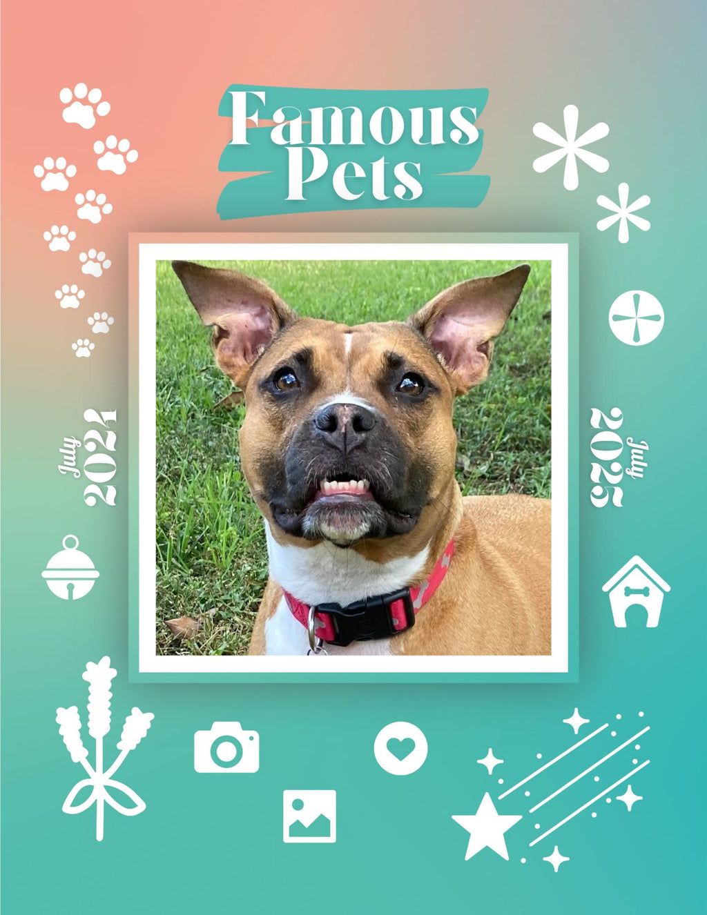 Famous Pets: July 2024-July 2025 Wall Calendar (Pre-Order)