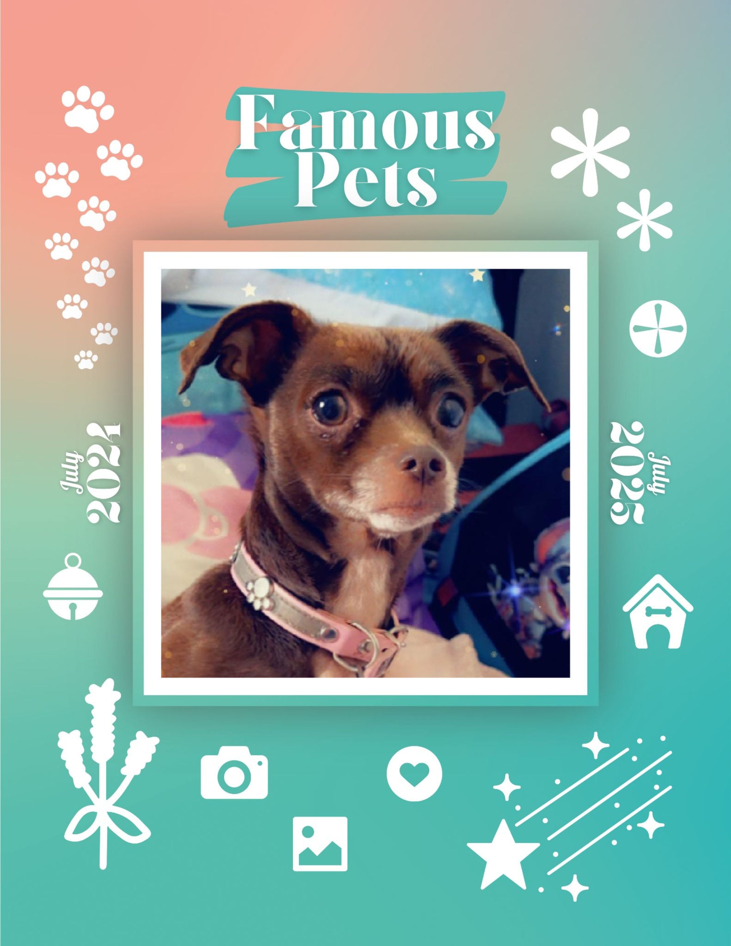 Famous Pets: July 2024-July 2025 Wall Calendar (Pre-Order)