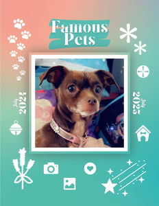 Famous Pets: July 2024-July 2025 Wall Calendar (Pre-Order)