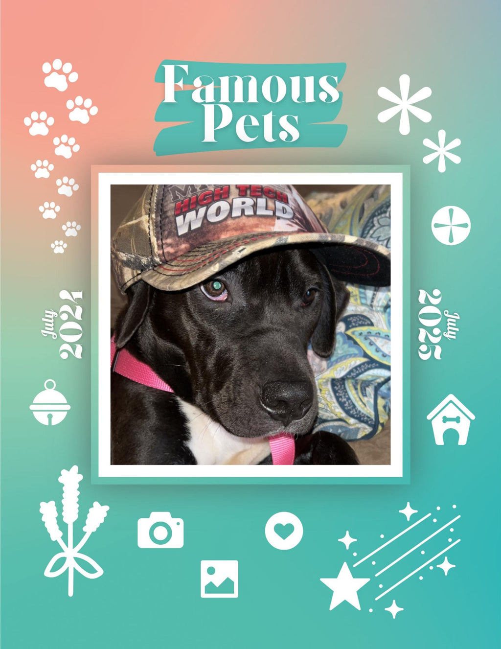 Famous Pets: July 2024-July 2025 Wall Calendar (Pre-Order)