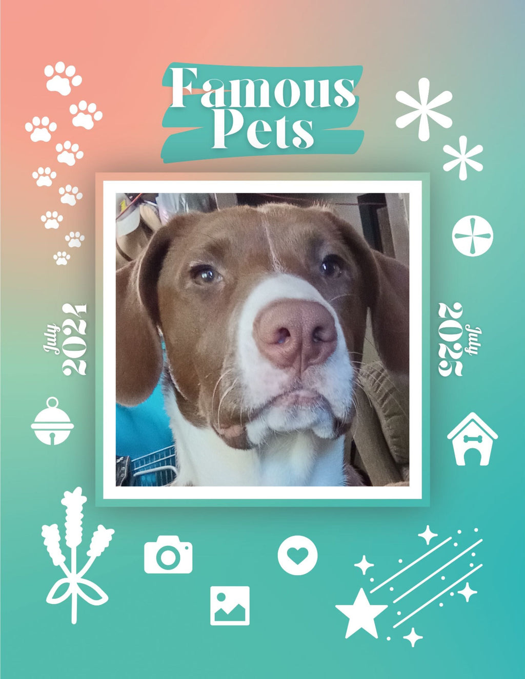 Famous Pets: July 2024-July 2025 Wall Calendar (Pre-Order)