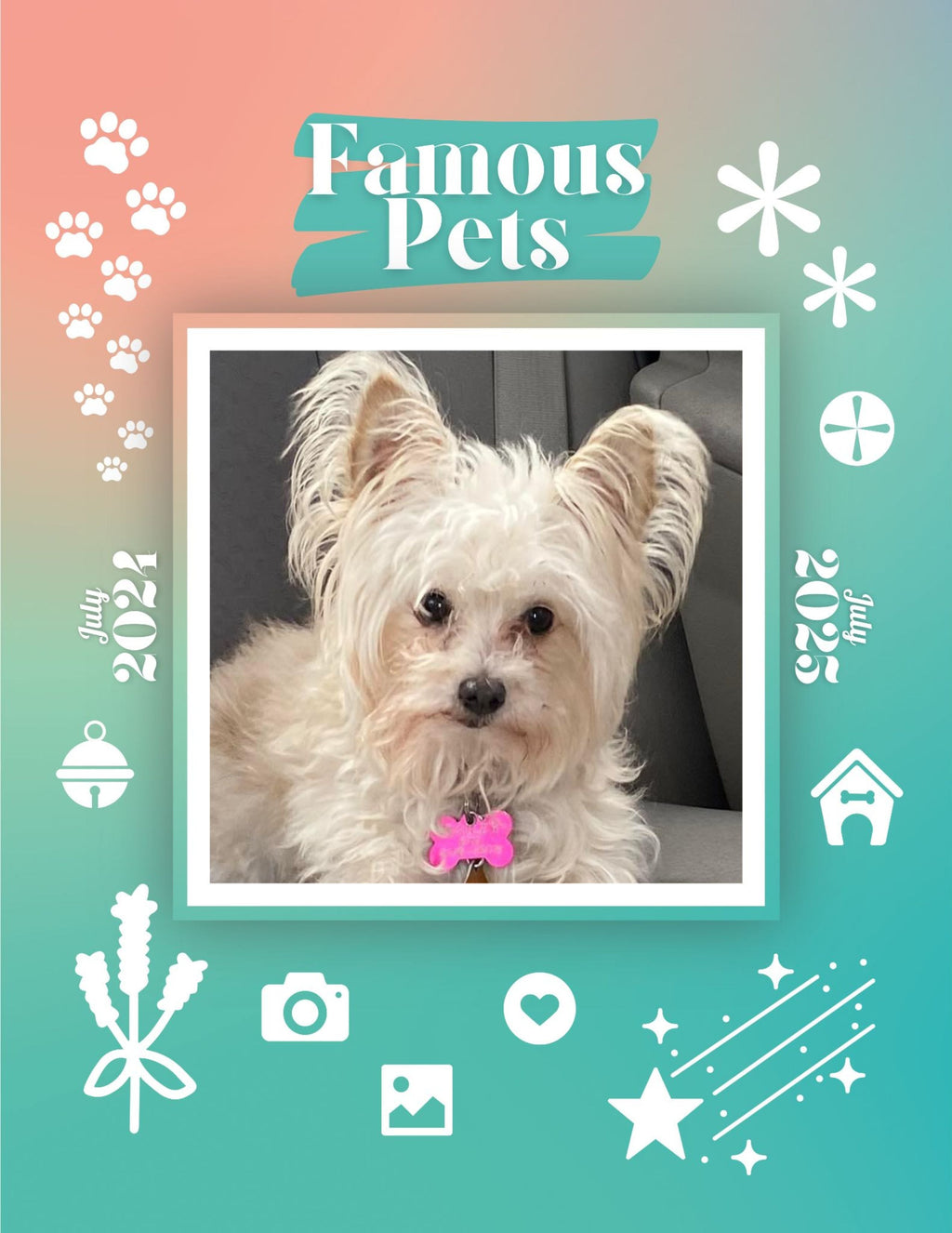 Famous Pets: July 2024-July 2025 Wall Calendar (Pre-Order)